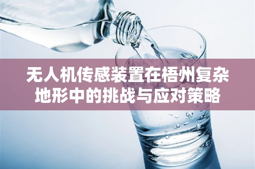 无人机传感装置在梧州复杂地形中的挑战与应对策略