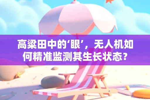 高粱田中的‘眼’，无人机如何精准监测其生长状态？