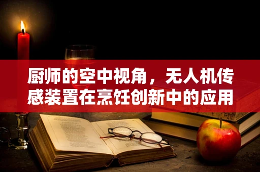 厨师的空中视角，无人机传感装置在烹饪创新中的应用挑战