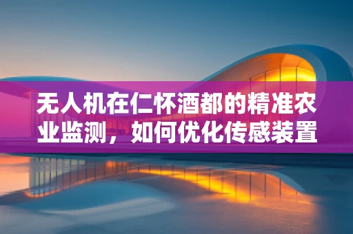 无人机在仁怀酒都的精准农业监测，如何优化传感装置的部署策略？
