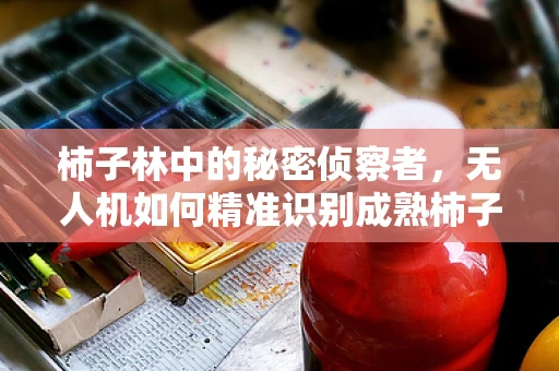 柿子林中的秘密侦察者，无人机如何精准识别成熟柿子？