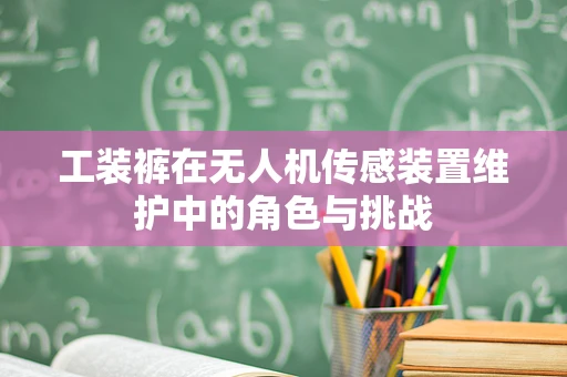 工装裤在无人机传感装置维护中的角色与挑战