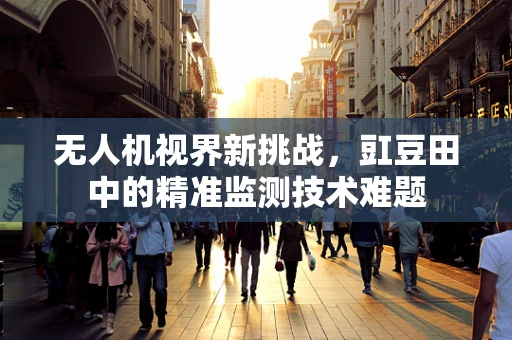 无人机视界新挑战，豇豆田中的精准监测技术难题