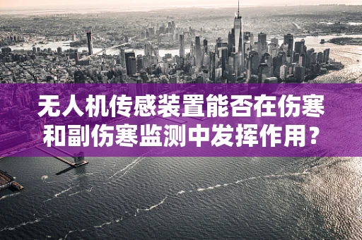 无人机传感装置能否在伤寒和副伤寒监测中发挥作用？