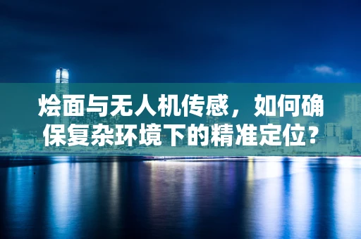 烩面与无人机传感，如何确保复杂环境下的精准定位？