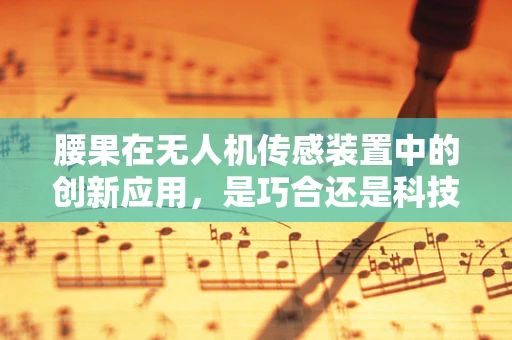 腰果在无人机传感装置中的创新应用，是巧合还是科技新篇章？