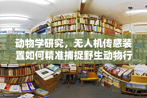 动物学研究，无人机传感装置如何精准捕捉野生动物行为？