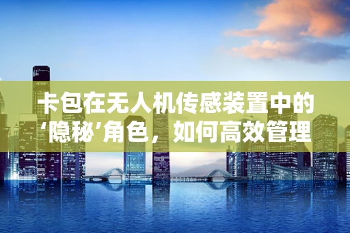 卡包在无人机传感装置中的‘隐秘’角色，如何高效管理数据传输？
