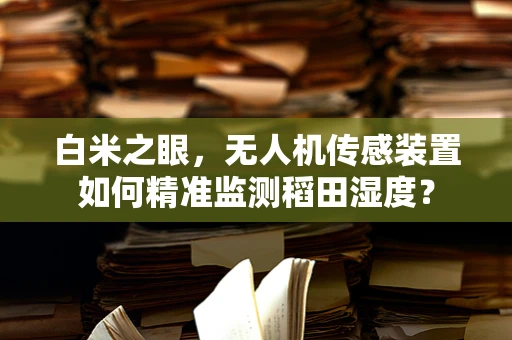 白米之眼，无人机传感装置如何精准监测稻田湿度？