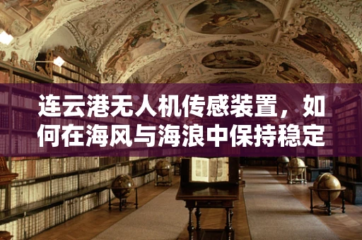 连云港无人机传感装置，如何在海风与海浪中保持稳定？