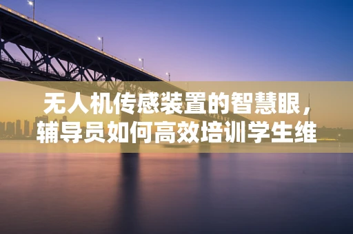 无人机传感装置的智慧眼，辅导员如何高效培训学生维护？