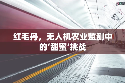 红毛丹，无人机农业监测中的‘甜蜜’挑战