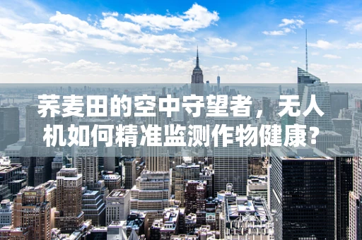 荞麦田的空中守望者，无人机如何精准监测作物健康？