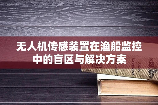 无人机传感装置在渔船监控中的盲区与解决方案