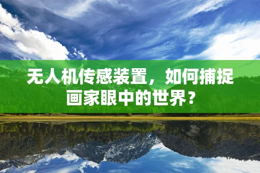 无人机传感装置，如何捕捉画家眼中的世界？
