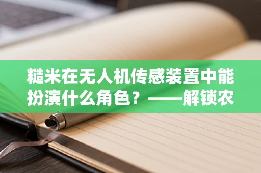 糙米在无人机传感装置中能扮演什么角色？——解锁农业监测新视角