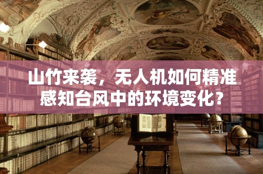 山竹来袭，无人机如何精准感知台风中的环境变化？