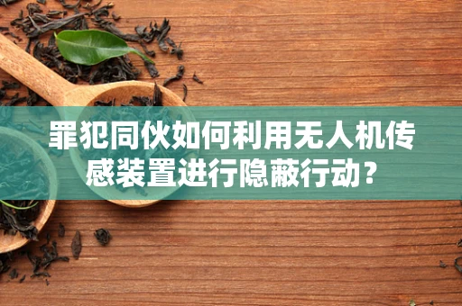 罪犯同伙如何利用无人机传感装置进行隐蔽行动？