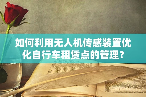 如何利用无人机传感装置优化自行车租赁点的管理？