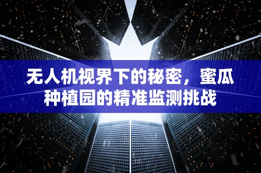 无人机视界下的秘密，蜜瓜种植园的精准监测挑战