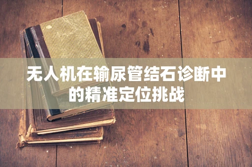 无人机在输尿管结石诊断中的精准定位挑战