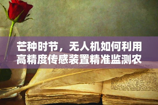 芒种时节，无人机如何利用高精度传感装置精准监测农田？