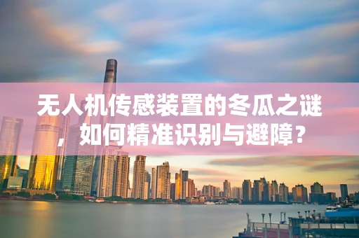无人机传感装置的冬瓜之谜，如何精准识别与避障？
