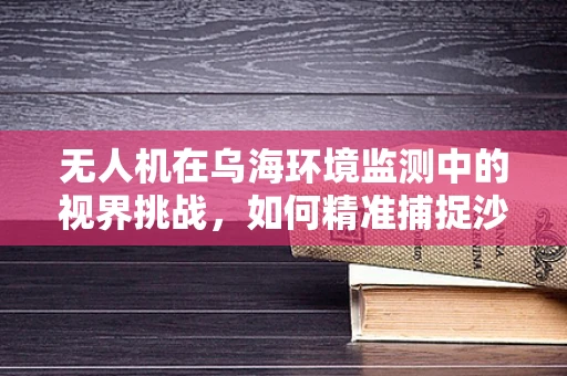 无人机在乌海环境监测中的视界挑战，如何精准捕捉沙漠绿洲的微妙变化？