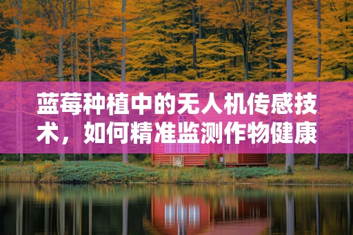 蓝莓种植中的无人机传感技术，如何精准监测作物健康？