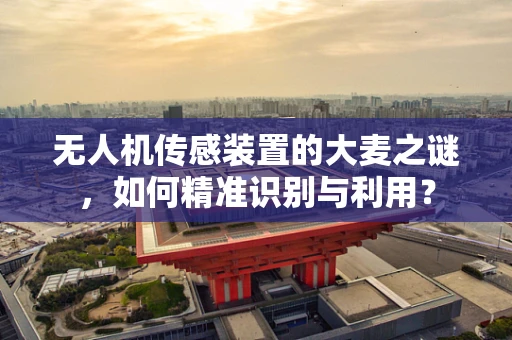 无人机传感装置的大麦之谜，如何精准识别与利用？