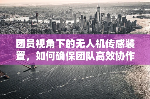 团员视角下的无人机传感装置，如何确保团队高效协作与安全飞行？