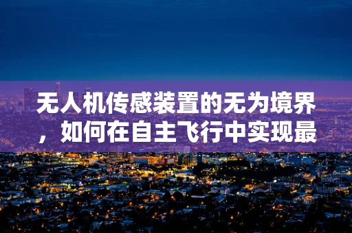 无人机传感装置的无为境界，如何在自主飞行中实现最小干预？