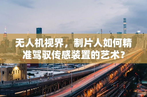 无人机视界，制片人如何精准驾驭传感装置的艺术？