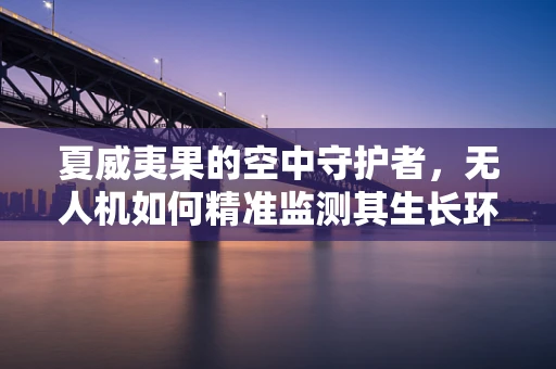 夏威夷果的空中守护者，无人机如何精准监测其生长环境？