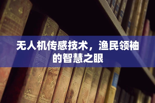 无人机传感技术，渔民领袖的智慧之眼