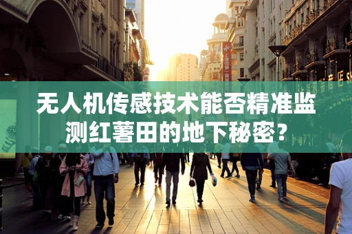 无人机传感技术能否精准监测红薯田的地下秘密？
