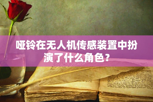 哑铃在无人机传感装置中扮演了什么角色？