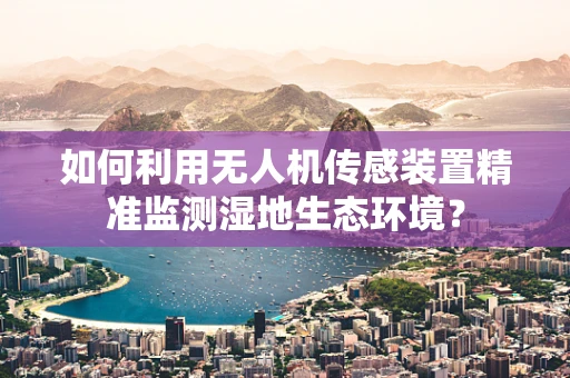 如何利用无人机传感装置精准监测湿地生态环境？