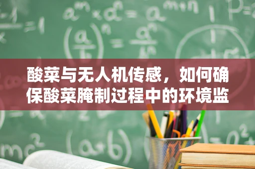 酸菜与无人机传感，如何确保酸菜腌制过程中的环境监测准确性？