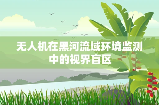 无人机在黑河流域环境监测中的视界盲区