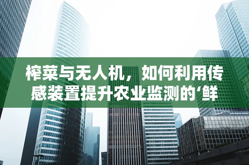 榨菜与无人机，如何利用传感装置提升农业监测的‘鲜’度？