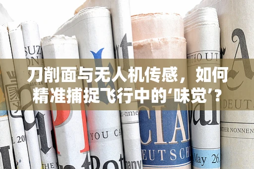 刀削面与无人机传感，如何精准捕捉飞行中的‘味觉’？