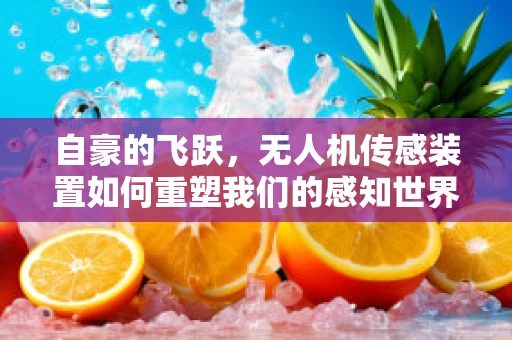 自豪的飞跃，无人机传感装置如何重塑我们的感知世界？