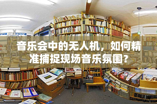 音乐会中的无人机，如何精准捕捉现场音乐氛围？