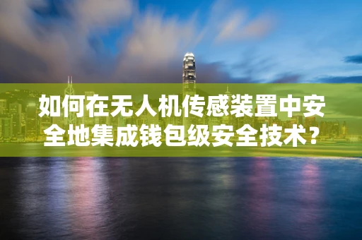 如何在无人机传感装置中安全地集成钱包级安全技术？