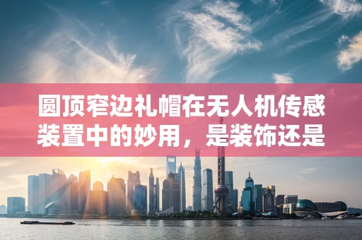 圆顶窄边礼帽在无人机传感装置中的妙用，是装饰还是功能？