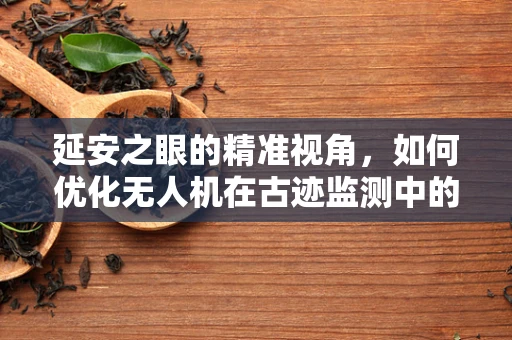 延安之眼的精准视角，如何优化无人机在古迹监测中的传感装置？
