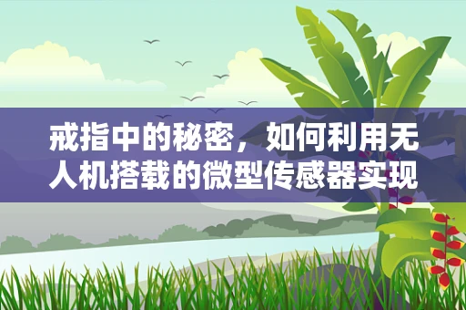 戒指中的秘密，如何利用无人机搭载的微型传感器实现精准定位？
