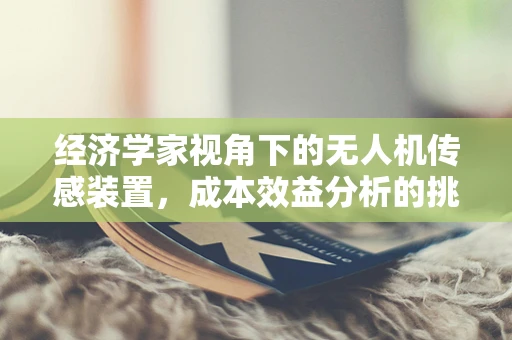 经济学家视角下的无人机传感装置，成本效益分析的挑战与机遇