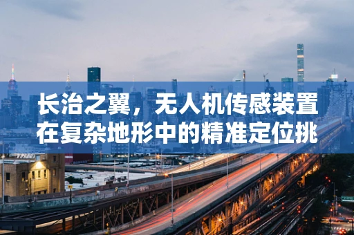 长治之翼，无人机传感装置在复杂地形中的精准定位挑战